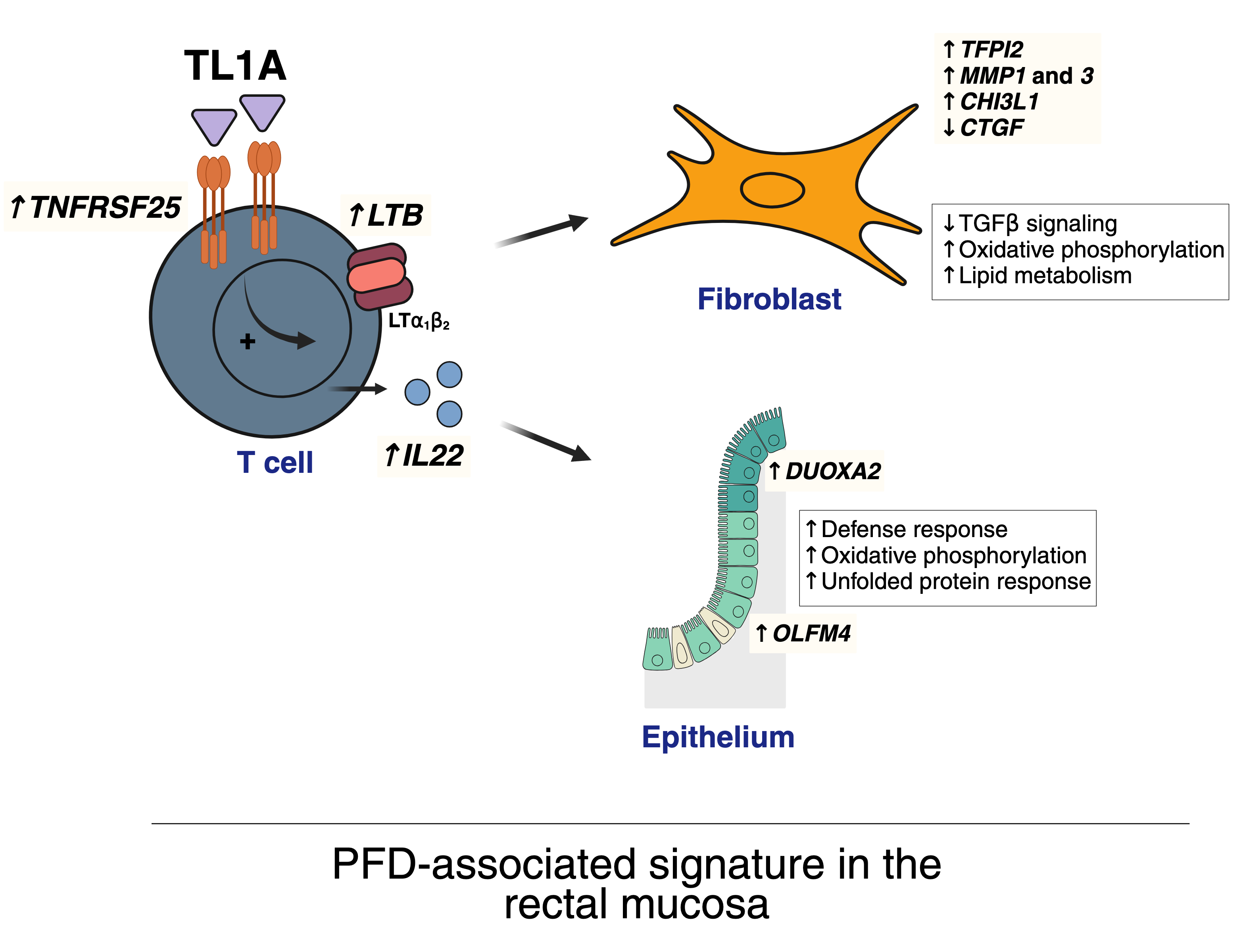 Visual Abstract PFD